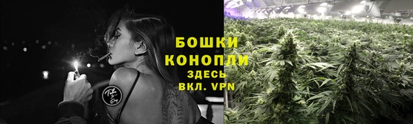 индика Осташков