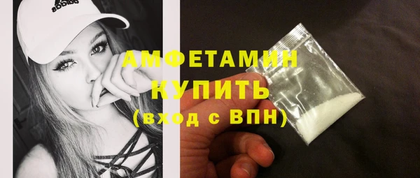 индика Осташков
