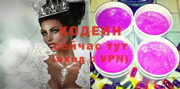 индика Осташков