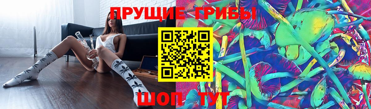 Галлюциногенные грибы GOLDEN TEACHER Полысаево